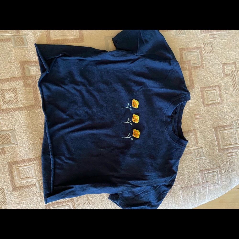 Brandy Melville Crop Top